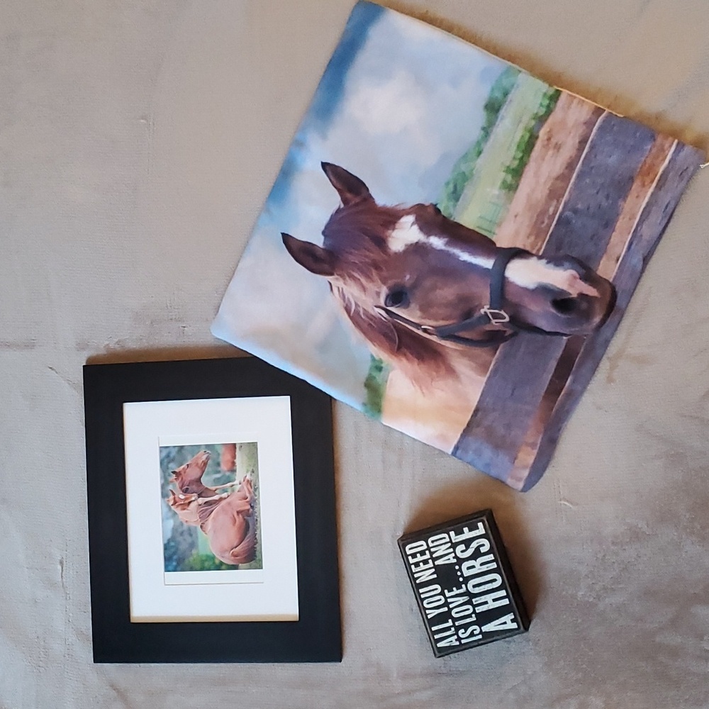 16"×16" horse pillow cover, sign and picture